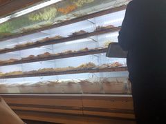 -镇江龙·火锅串串(武侯祠店)