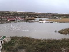 -春花秋色城市公园