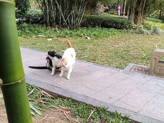 -晓港公园