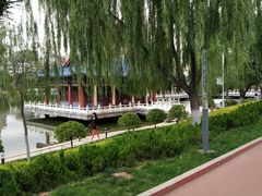 -雁滩公园