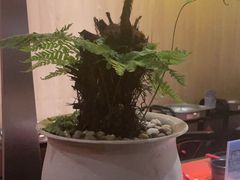 -羽鸽集·乳鸽专门店·地道顺德菜(岭南站店)