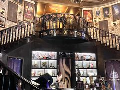 -雪灵魔法世界SHELLY’S TAROT(大良桂畔里店)