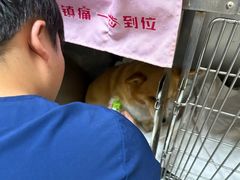 -康成宠物医院24H·CT·核磁共振