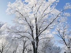 -中旅松花湖滑雪场