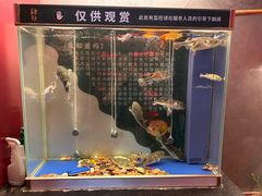-肆月河豚·新淮扬菜·烤鸭(中关村店)