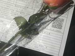 -枫花园汽车电影院(朝阳公园店)