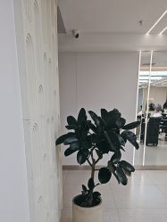 -魔型社烫染店