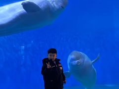 -泉城欧乐堡海洋极地世界