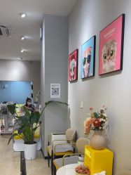 点击看大图 -洗脸猫·洗脸吧