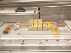 -蒲公英(五里店)