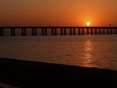 -宝安西湾红树林湿地公园