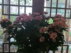 -泡桐树孙二娘私房菜