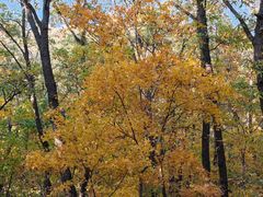 -鹫峰国家森林公园