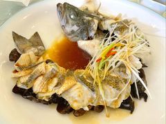 -博雅渔港·融合菜(维也纳国际大酒店)