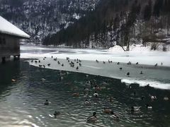 -柯尼希湖