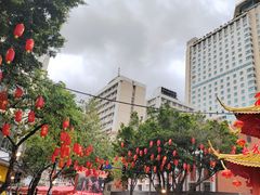 -越秀西湖花市(广州城市广场花卉店)