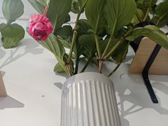 -FEI FEI FLOWER鲜花店·气球派对·宝宝宴布置(虹口德必运动Loft店)