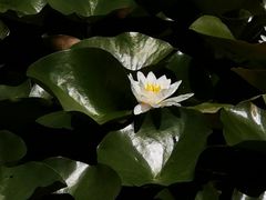 -白塘生态植物园