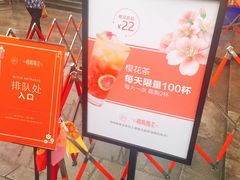 -鸡鸣赐茶(鸡鸣寺路店)