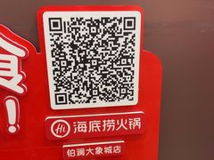 -海底捞火锅(铂澜大象城店)