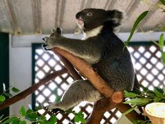 -费瑟代尔野生动物园