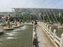 -石家庄市植物园
