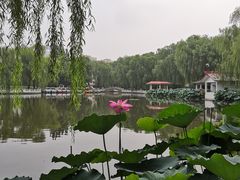 -丰台花园