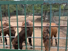 -秦皇岛野生动物园