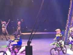 -珠海横琴长隆《卡卡虎奇遇记》