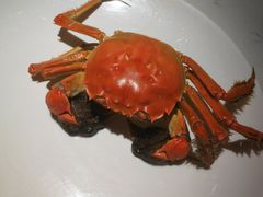 -加餐海鲜自助(宝龙一城店)