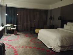 -南京禄口机场雅高铂尔曼大酒店