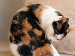 -转山咖啡(松柏社区店)