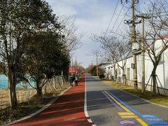 -上海长兴岛郊野公园