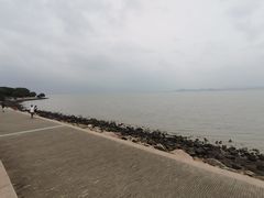 -深圳湾公园(南山区)