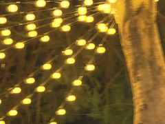 -靡瑅miti西式融合餐吧(星海湾水岸风情街店)