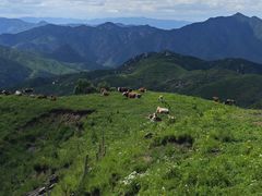-灵山