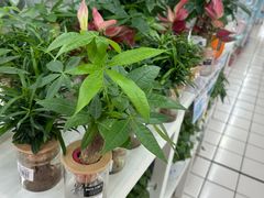 -大润发(勤业店)