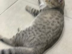 -弓舍射箭俱乐部(高新总店)