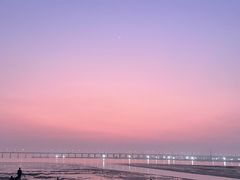 -宝安西湾红树林湿地公园