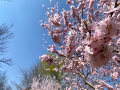 -元大都城垣遗址公园