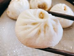 鲜肉小笼包-桐香园小笼包(百井坊巷店)