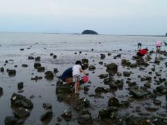 android_upload_pic-叉叉纳里客栈(珠海情侣路唐家湾沙滩店)