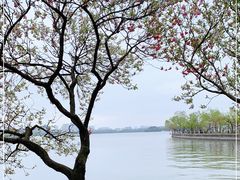 -无锡蠡湖国家湿地公园-蠡园