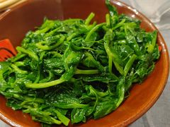 酒香豆苗-金哥私房菜馆(张府园总店)