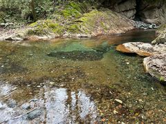 -西岭雪山大飞水景区