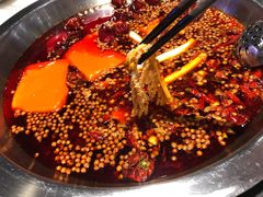 -孙毛肚火锅(春熙路店)