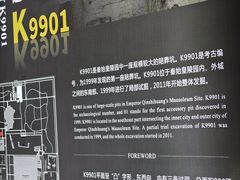 -秦始皇帝陵博物院-丽山园