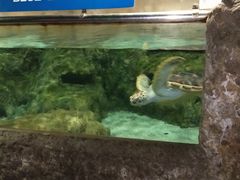 -呷哺呷哺(新世界百货望京店)