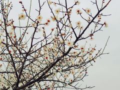 -长广溪湿地公园