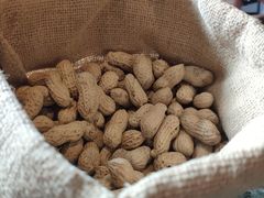 -Long Bar(莱佛士酒店)